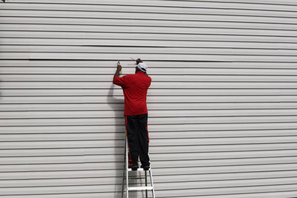 Trusted Walnut, IL Siding Experts